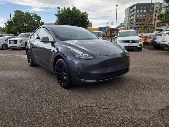TESLA MODEL Y 2021 5YJYGDEE4MF253033 image TESLA MODEL Y 2021 5YJYGDEE4MF253033 image